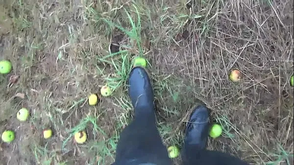 Εμφάνιση plums under preasure φρέσκων βίντεο