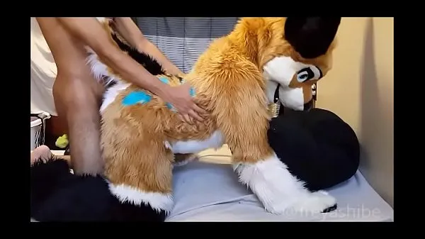 Mostrar Furry babe gets fucked doggystyle vídeos recentes