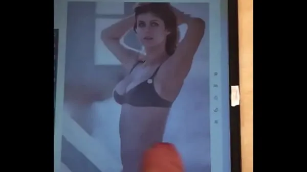 Alexandra Daddario jerk off and cum tribute ताज़ा वीडियो दिखाएँ