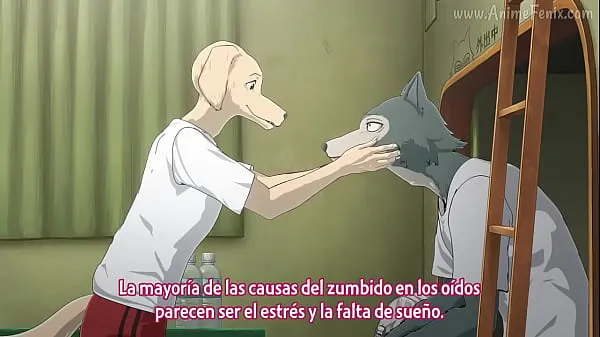 Afficher BEASTARS Temp 2 Eps 1 Sous español nouvelles vidéos